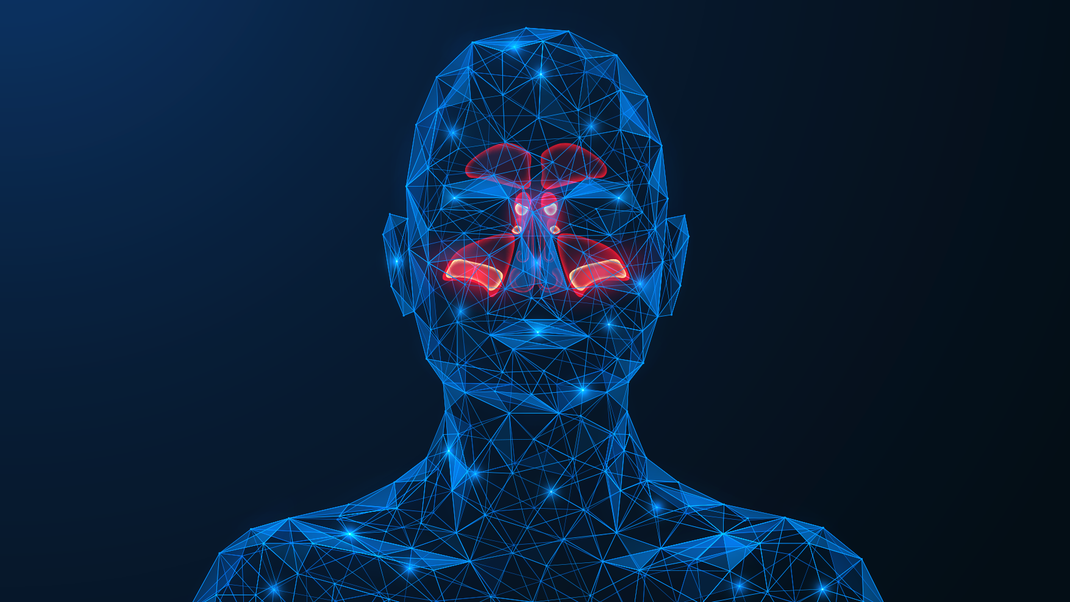 Added Fragrance, VOCs & What Clean Really Smells Like