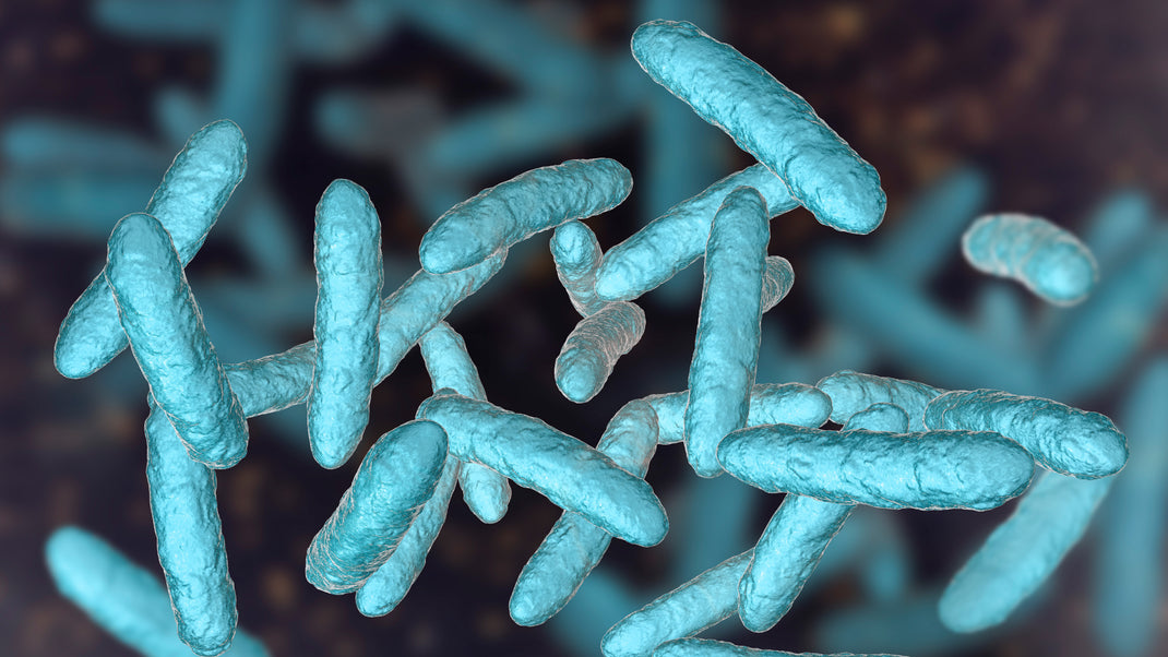 The Difference Between Probiotic and Enzymatic Cleaning Solutions